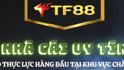 Tf88.homes - Mẹo chơi casino hữu ích dành cho cược thủ